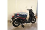 Honda Genio CBS Tahun 2024